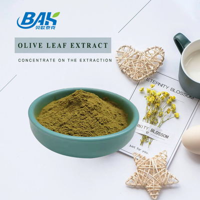 Oleuropein المكملات الغذائية مسحوق مستخلص أوراق الزيتون 10٪ - 80٪