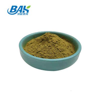 Oleuropein المكملات الغذائية مسحوق مستخلص أوراق الزيتون 10٪ - 80٪