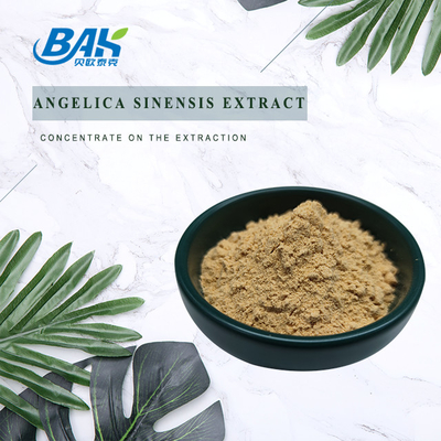 المصنع الصيني المهني Dang Gui Angelica Sinensis Dong Quai جذور استخراج مسحوق Angelica Dahurica استخراج
