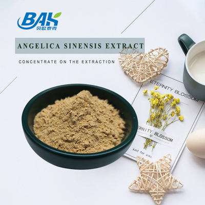 المصنع الصيني المهني Dang Gui Angelica Sinensis Dong Quai جذور استخراج مسحوق Angelica Dahurica استخراج