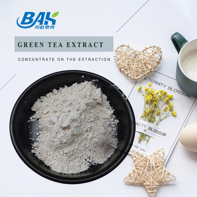 مستخلص الشاي الأخضر بالجملة EGCG CAS NO 989-51-5 Epigallocatechin Gallate 98% مسحوق أبيض