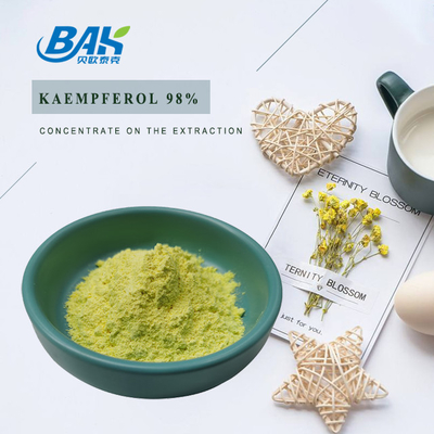 BAK جودة عالية Cas 520-18-3 مكملات تعزيز المناعة مسحوق الكامفيرول 50% 90% 98%