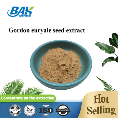 مكمل مستخلص الفطر الحلال ملحق Gordon Euryale Seed Extract 10: 1