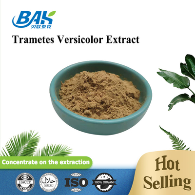 10% - 50% Trametes Versicolor Extract Powder مكملات مستخلص الفطر