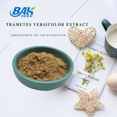 10% - 50% Trametes Versicolor Extract Powder مكملات مستخلص الفطر