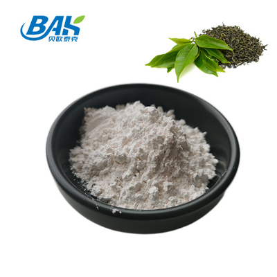 3081-61-6 مسحوق مستخلص الشاي الأخضر الثيانين 98٪ مستخلص عشبي طبيعي لنظام غذائي صحي