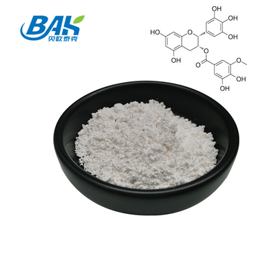 مستخلص الشاي الأخضر بالجملة EGCG CAS NO 989-51-5 Epigallocatechin Gallate 98% مسحوق أبيض