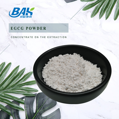 مستخلص الشاي الأخضر بالجملة EGCG CAS NO 989-51-5 Epigallocatechin Gallate 98% مسحوق أبيض