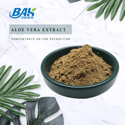 BAK عالية الجودة Pass 80 Mesh Artemisia Argyi Leaf Extract مسحوق بني داكن مضاد للقسوة