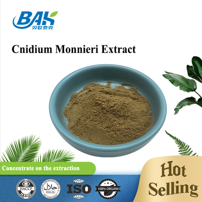 Osthole Cnidium Fruit Fructus Cnidii استخراج مسحوق 10٪ -98٪