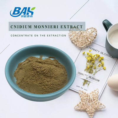 Osthole Cnidium Fruit Fructus Cnidii استخراج مسحوق 10٪ -98٪