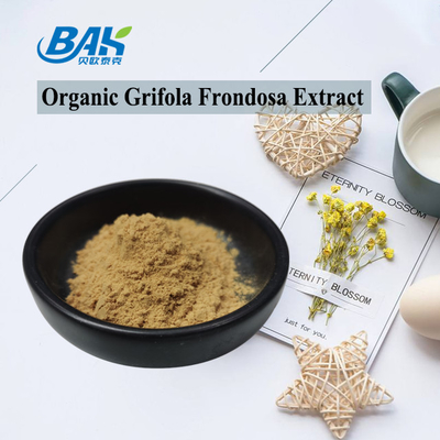 مستخلص Grifola Frondosa العضوي بيتا جلوكان 70% مستخلص الفطر مكملات UV VIS مسحوق