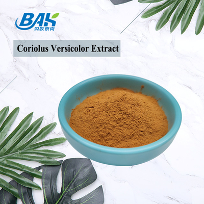 مستخلص الفطر العضوي Coriolus Versicolor المكملات الغذائية البني الأصفر