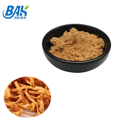 80 إلى 120 شبكة Cordyceps Militaris مزود من مصنع مسحوق استخراج