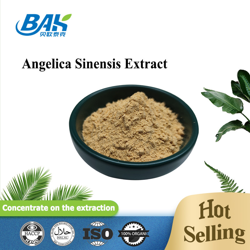 المصنع الصيني المهني Dang Gui Angelica Sinensis Dong Quai جذور استخراج مسحوق Angelica Dahurica استخراج