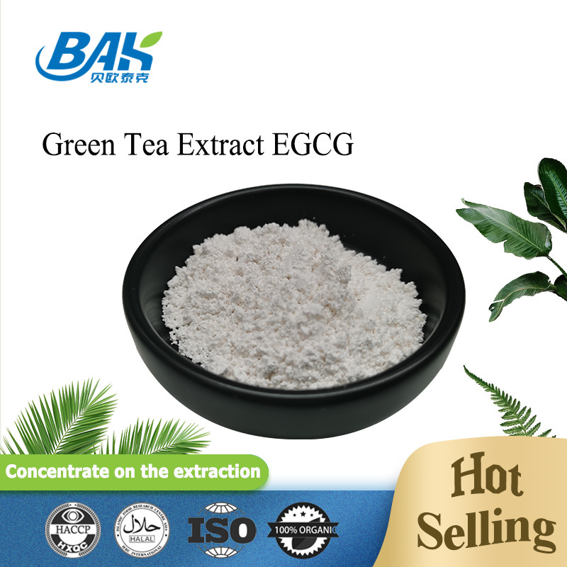 مستخلص الشاي الأخضر بالجملة EGCG CAS NO 989-51-5 Epigallocatechin Gallate 98% مسحوق أبيض